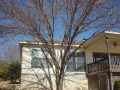 tree-cabling-10